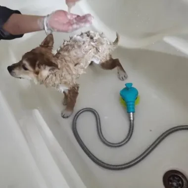 Essential Tips for Your Puppy’s First Bath